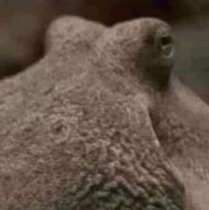 Meet your Posher, Danny